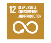 SDG 12