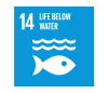 SDG 14