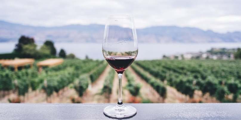 Polveri vini