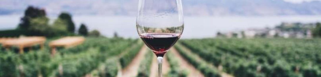 Polveri vini