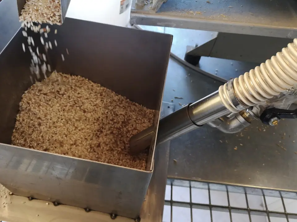 Trasferimento automatico di riso